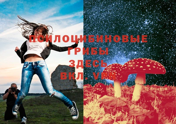 гидропоника Абдулино